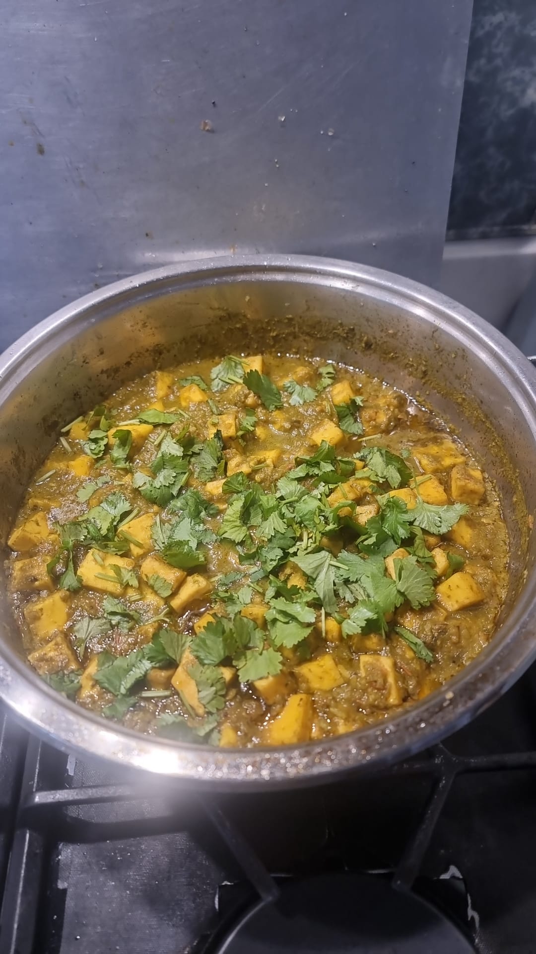 🌿 Saag Paneer – The Real Deal, BIG BANG! Style