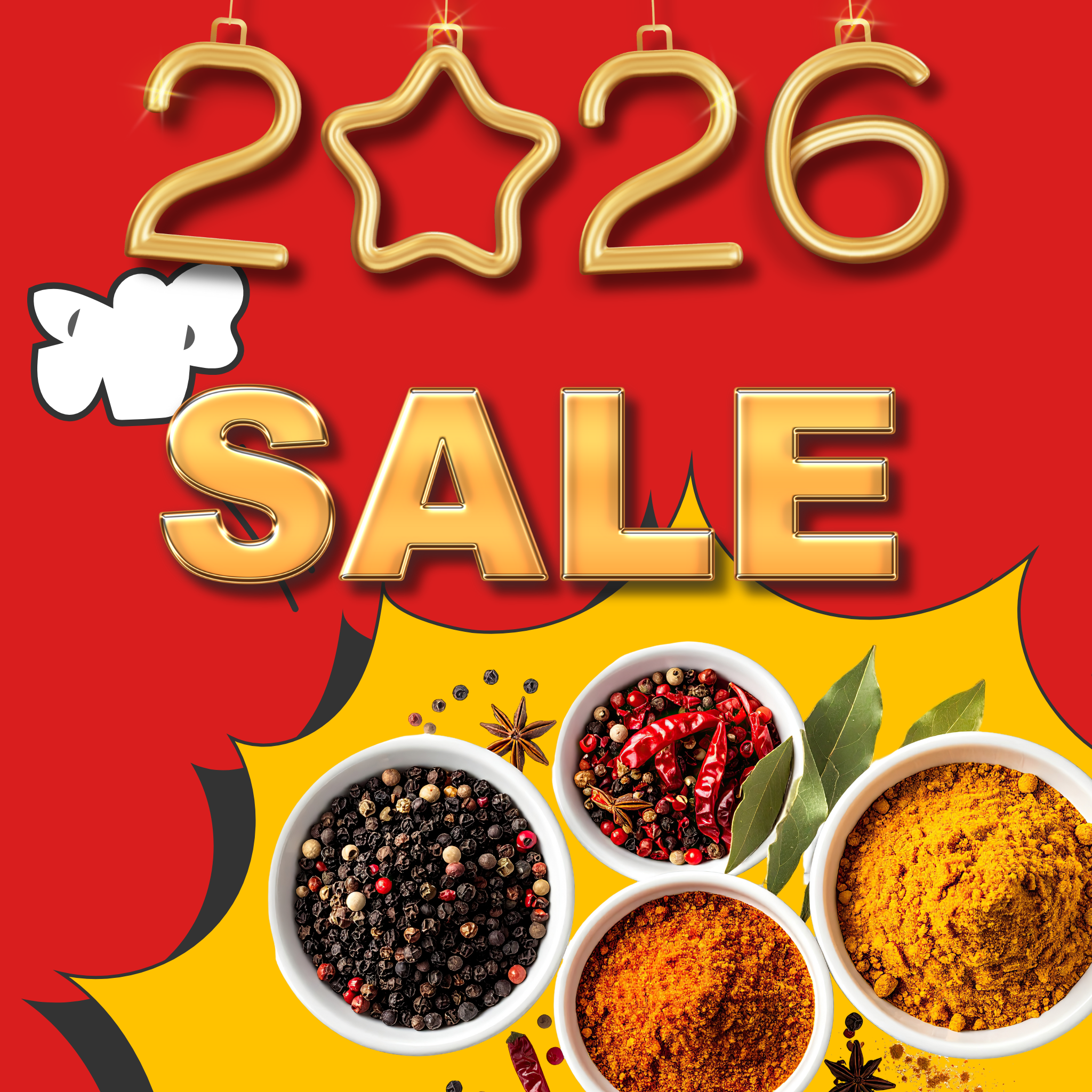 January Sale 2026