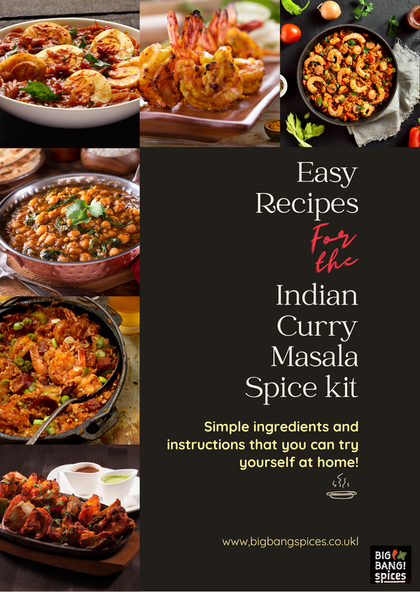 Indian Curry Masala Spice Kit with Printed Recipe Guide – BIG BANG! Spices